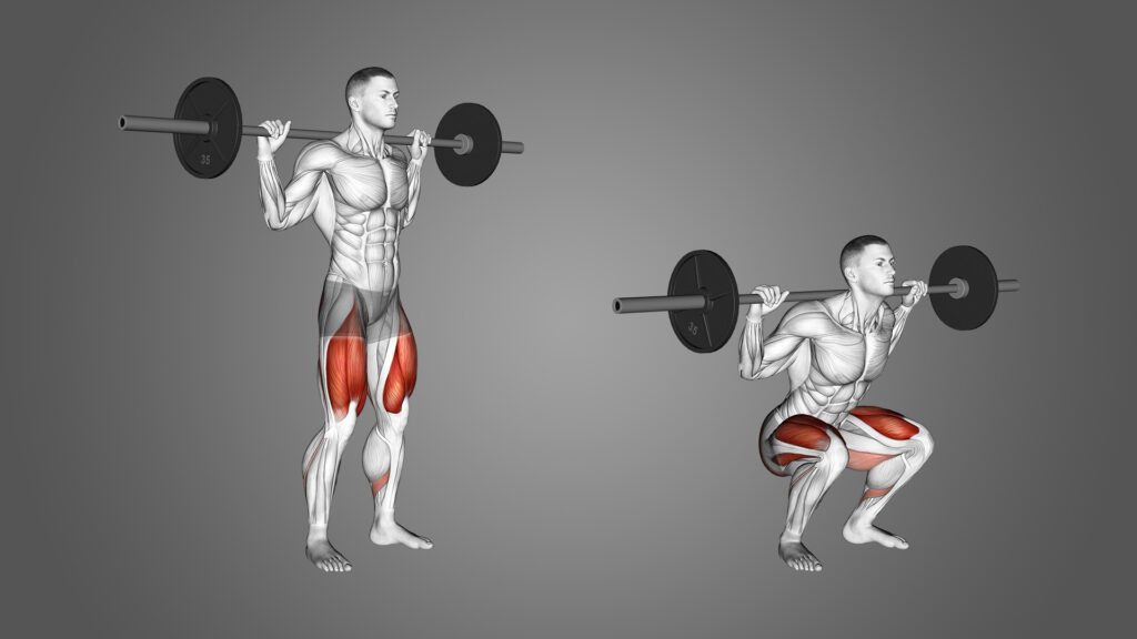 Barbell squats